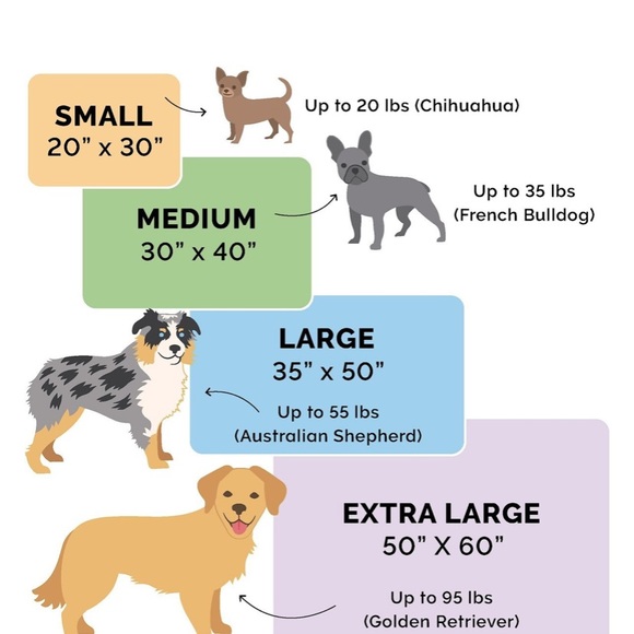 3 Velvet Waterproof Pet Blankets - Picture 9 of 13